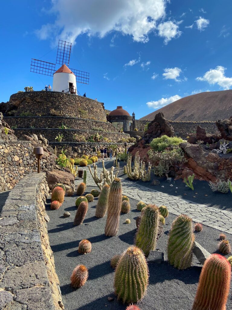 Der Kakteengarten in Lavagestein auf Lanzarote